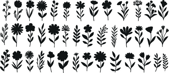 Wall Mural - black floral vector silhouette isolated on white background, spring botanical beauty, design element
