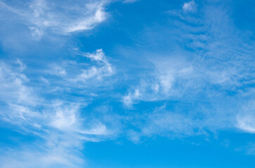 Wall Mural - blue sky background with white clouds