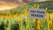 Hay Fever - Warning of Hay Fever Season - Coming of Spring and Summer - Blooming of Allergen producing Plants, Grass, Trees and Flowers.