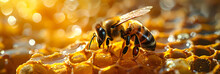 Hexagon-patterned Honeycomb With Honey Bee ,
Bee On Water Honeybee Macro Colorful3D