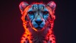 a close up of a cheetah's face with red and blue light coming from it's eyes.