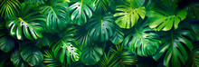 Tropical Green Leaves. Green Leaf Banner And Floral Jungle Pattern Concept.