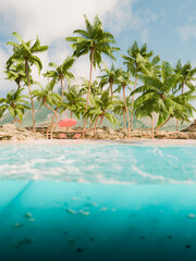 Sticker - Tropical Beach with Palm Trees and Underwater View