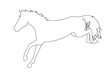 vector illustration of a black silhouette of a horse isolated on a white background. The theme of equestrian sports, animal husbandry and veterinary medicine
