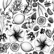 Tea seamless pattern. Herbal tea background. Medicinal herbs sketches. Hand-drawn vector illustration. NOT AI generated