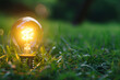 A glowing electric light bulb stands on the ground among green plants. The concept of green energy and ecology.