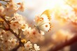 beautiful butterfly in spring sunny landscape