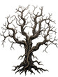 © Zeeshan - Create A High quality Creepy tree with twiste