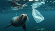A solitary seal gracefully navigates through the oceans depths, encountering a drifting plastic bag, a stark symbol of the pervasive plastic pollution threatening marine life.