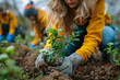 Volunteer planting young tree in soil, community engagement in reforestation project