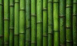 Fototapeta Sypialnia - a group of bamboo stems