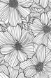 A close-up botanical illustration that focuses on the detailed structures and patterns of blooming daisy flowers
