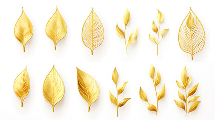 Wall Mural - gold leaves on white background.