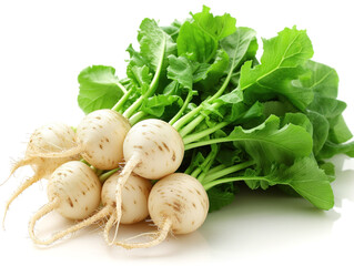 white radish isolated