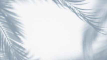 Wall Mural - 3D animation - Shadow of palm leaves moving in the wind in a loop on an empty wall 