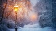 A street lamp covered in snow, trees and buildings in the background with snow, winter concept.