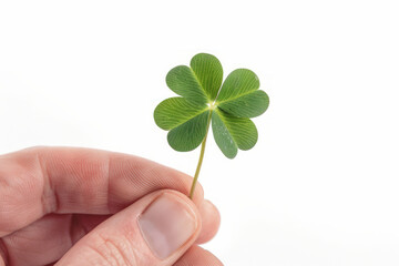 Wall Mural - A hand holding a st patricks day lucky irish four leaf clover