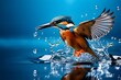 kingfisher mid flight