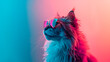 a cat wearing sunglasses in front of a colorful background