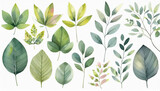 Fototapeta  - Diferentes tipos de hojas de arboles, pintadas con acuarela, separadas unas de otras. algunas son rosadas