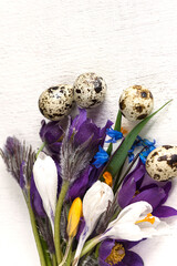 Wall Mural - easter and spring concept/bouquet of different snowdrops flowers and quail eggs on white wooden background with copy space