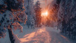 winter photography style the atmosphere is the most beautiful and cold