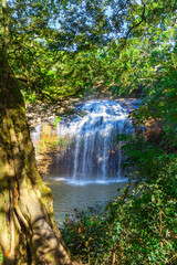 Wall Mural - Prenn is one of the waterfalls of Da lat