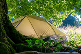 Fototapeta Sawanna - Camping with a tent in the nature