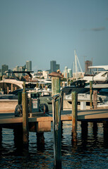 Wall Mural - boats in the harbor Marina pelican miami Florida 