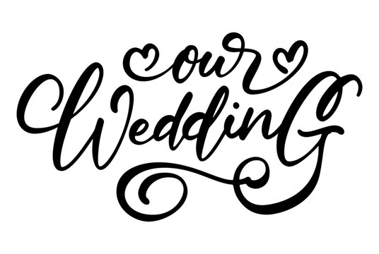Our wedding typography vector illustration on white solid background