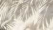A white light beige concrete wall texture, adorned with the shadow of palm tree leaves