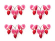 flower heart collection set isolated on transparent background, transparency image, removed background