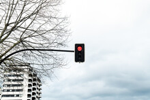 Red Traffic Light Against Cloudy Sky and Bare Tree