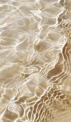 A closeup of the water's surface, with ripples and patterns