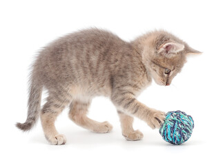 Wall Mural - Little kitten playing with a ball of yarn.