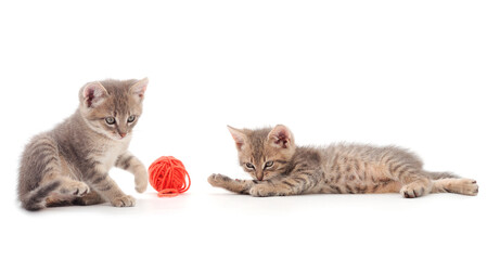 Wall Mural - Two little kittens playing with a ball of yarn.