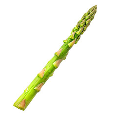 Freshly Harvested Green Asparagus Spear - Healthy Vegetable Ingredient for Gourmet Cooking and Culinary Recipes - Isolated on a Transparent Background