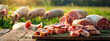 meat and lard on a wooden table on the background of a farm with a pig