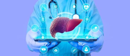 Wall Mural - The doctor studies and analyzes cirrhosis and hepatitis on his tablet. Hepatologist isolated on light lilac background shows the liver in poor condition through a digital hologram.