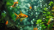 Tropical colorful fishes around air bubbles swimming in aquarium with plants.
