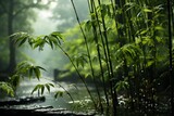Fototapeta Sypialnia - Bamboo forest with water flowing in the background under sunlight