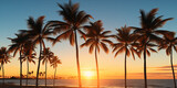 Fototapeta  - Palm trees against sunset background