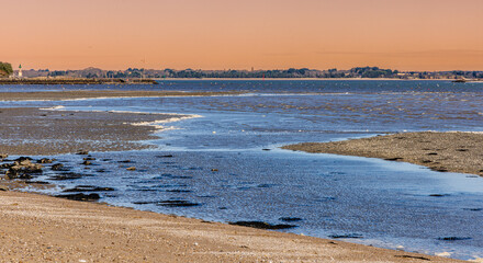 Wall Mural - Plage sauvage