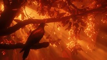 A Bird Sitting On A Branch Of A Tree With The Sun Shining Through The Branches And Leaves On The Branches.