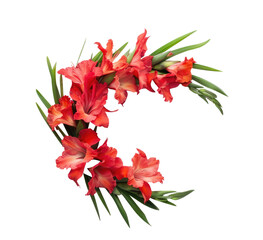 Wall Mural - Watercolor gladiolus, set of flowers isolated on transparent background for greeting cards or invitations.