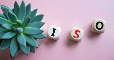 ISO standards quality control symbol. Concept word ISO on wooden cubes. Beautiful pink background with succulent plant. Business and ISO concept. Copy space.