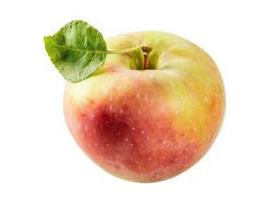 One apple with a red side and a green leaf on a white background