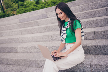 Poster - Photo of focused concentrated woman in stylish clothes sitting on stairs city street park writing sms message modern netbook outside