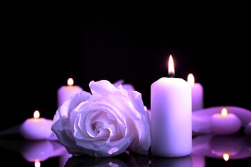 Wall Mural - Violet rose and burning candle on black mirror surface in darkness, closeup. Funeral attributes