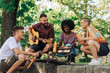 © Zamrznuti tonovi - Four young adults crouching in park while singing and playing guitar.